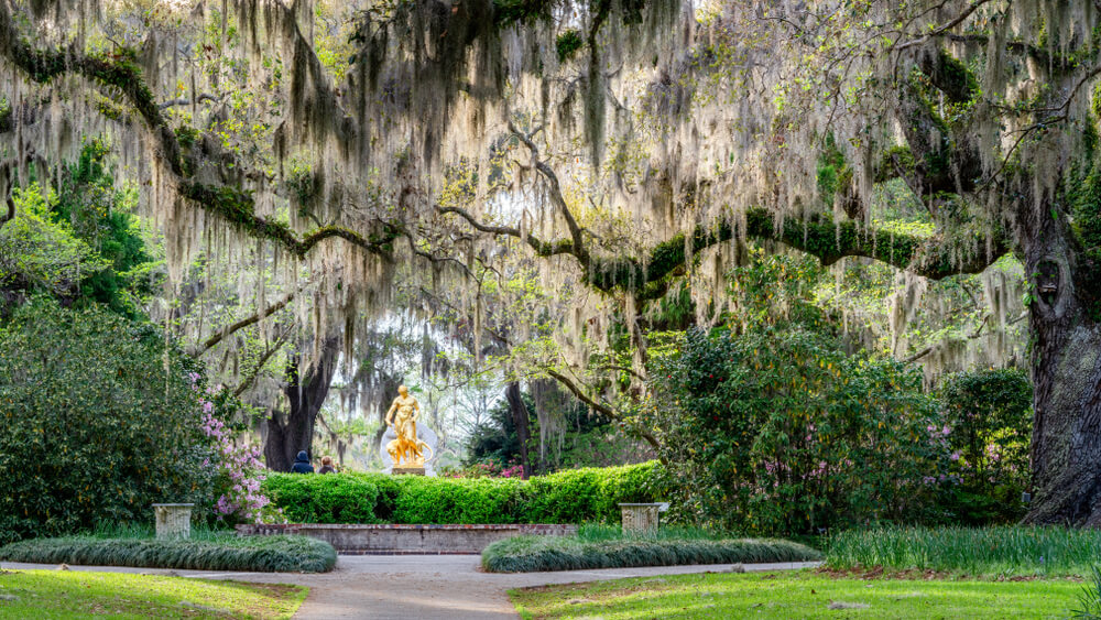 Photo of Brookgreen Gardens, one of the most popular things to do in Pawleys Island